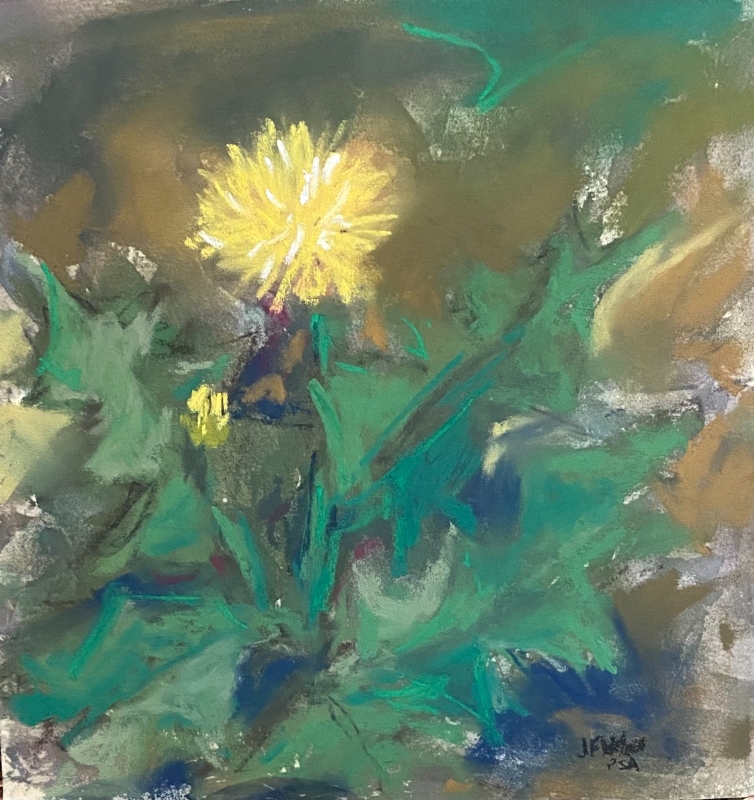 A Dandilion by artist Julia Fletcher